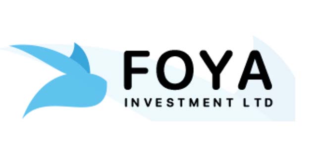 FOYA INVESTMENT LTD基礎情報