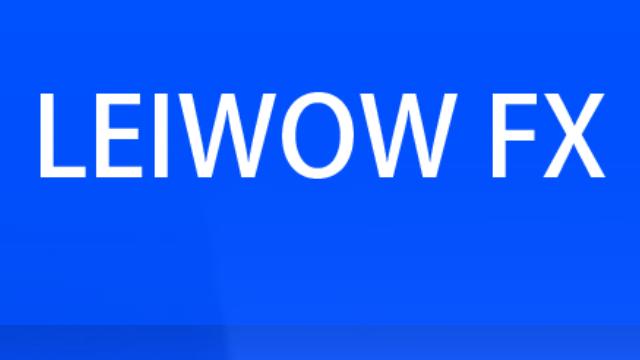 LEIWOWの基礎情報