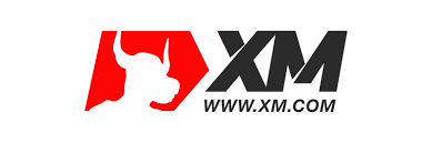 XM Global Limitedの基礎情報