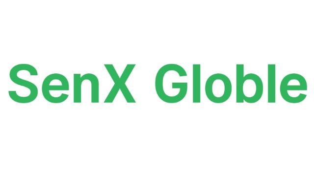 SenX Globleの基本情報