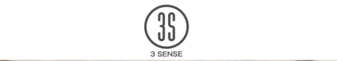 3 SENSE(偽)