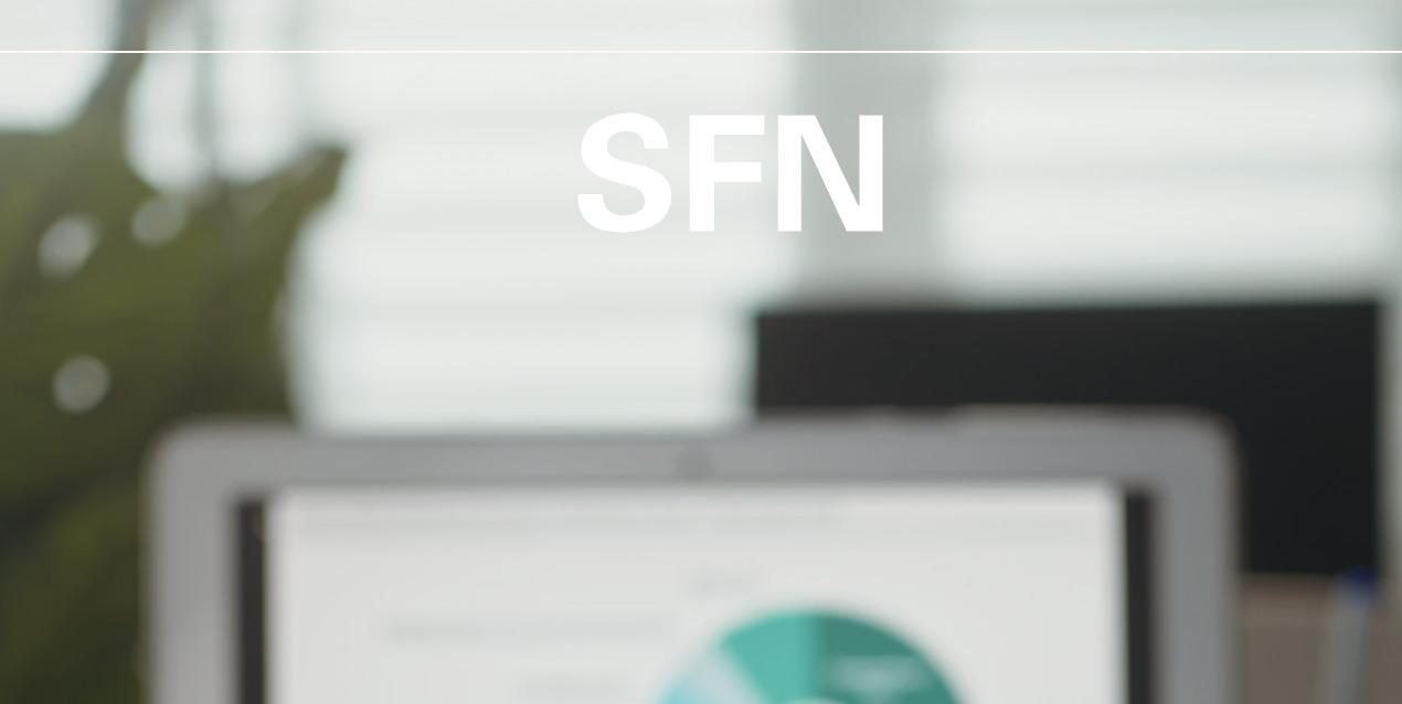SFN(偽)