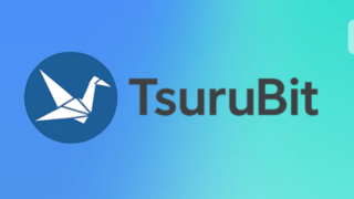 TsuruBit