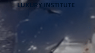 LUXURY INSTITUTE(偽)