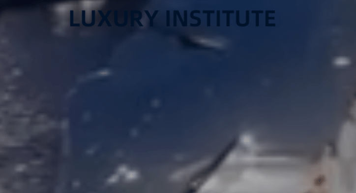 LUXURY INSTITUTE(偽)